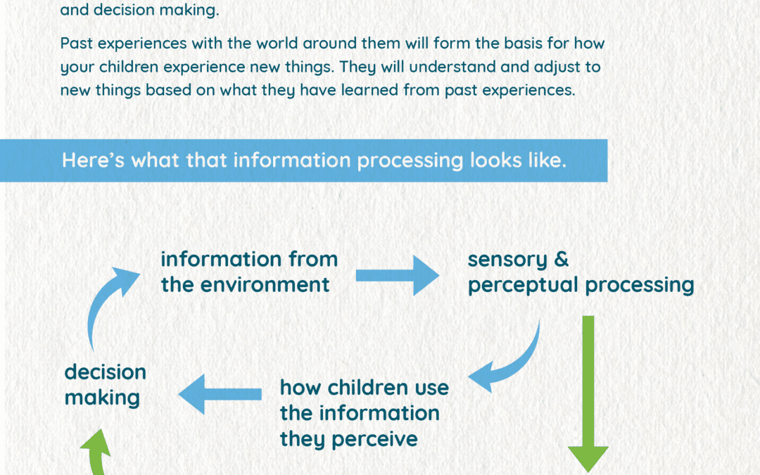 Cognition & Perception – A Closer Look