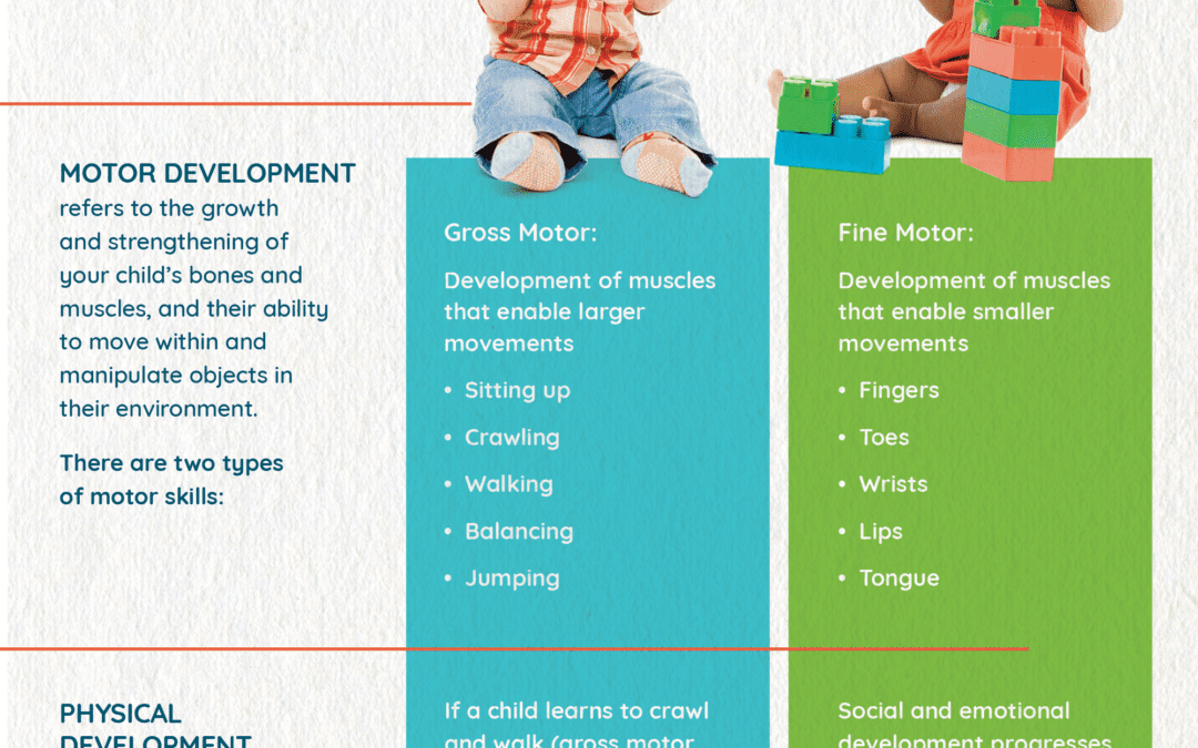 A Closer Look at Motor & Physical Development