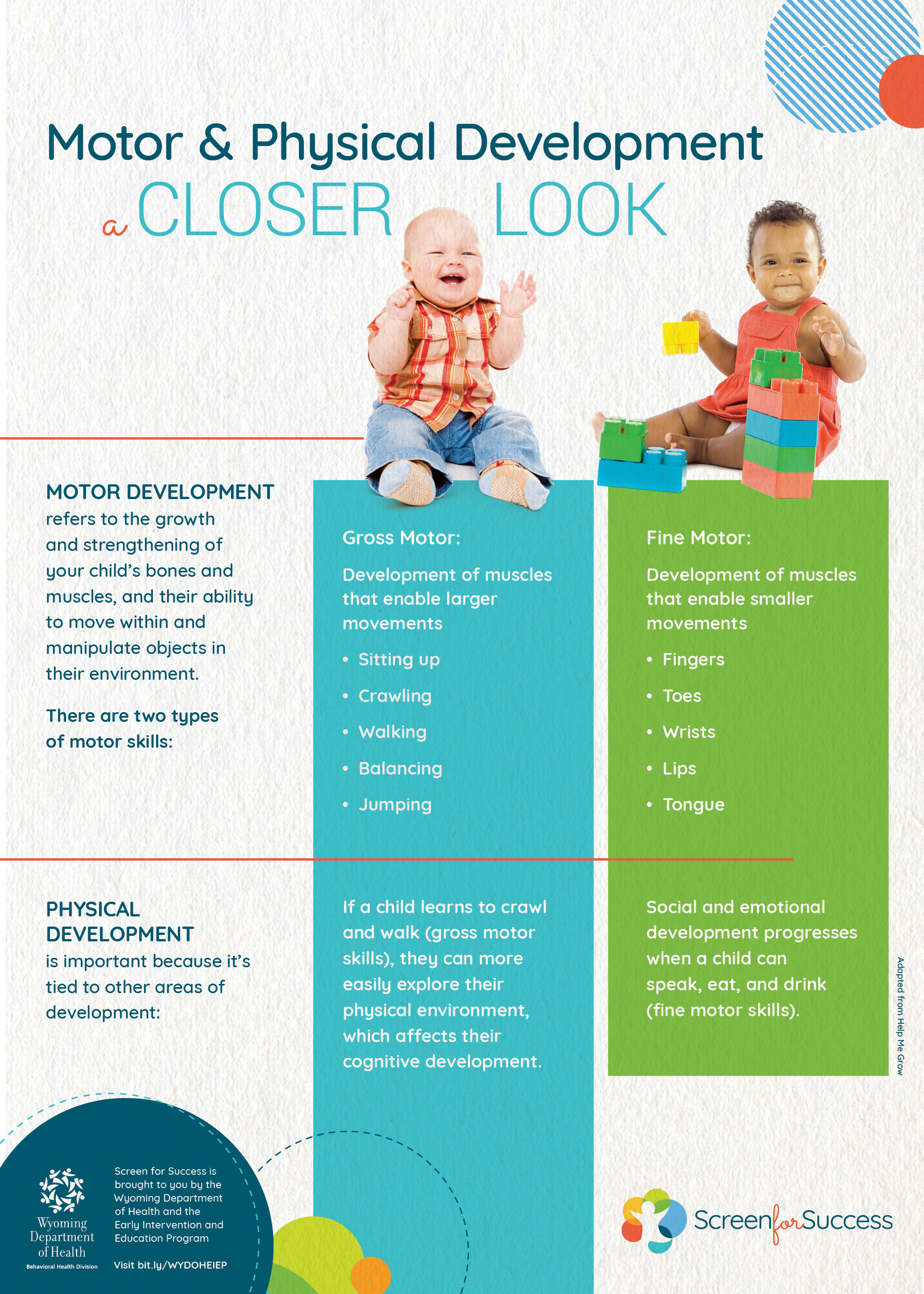 A Closer Look at Motor & Physical Development